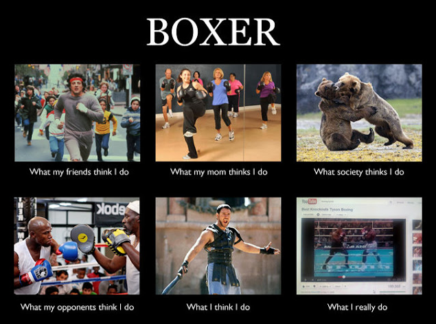 Bear Martial Arts_1.jpg